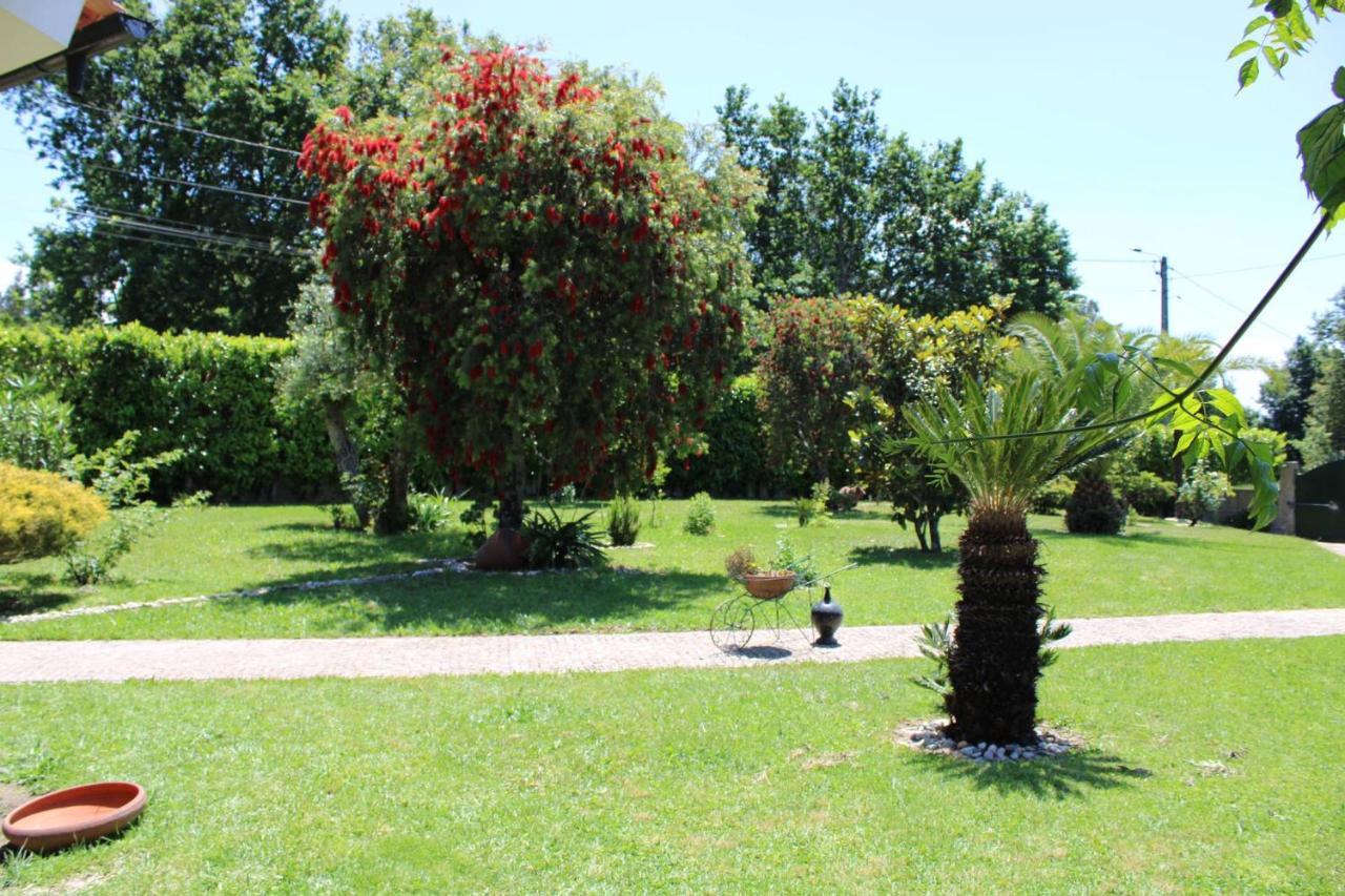 The Oak'S Wolf-Country House Fafe Extérieur photo
